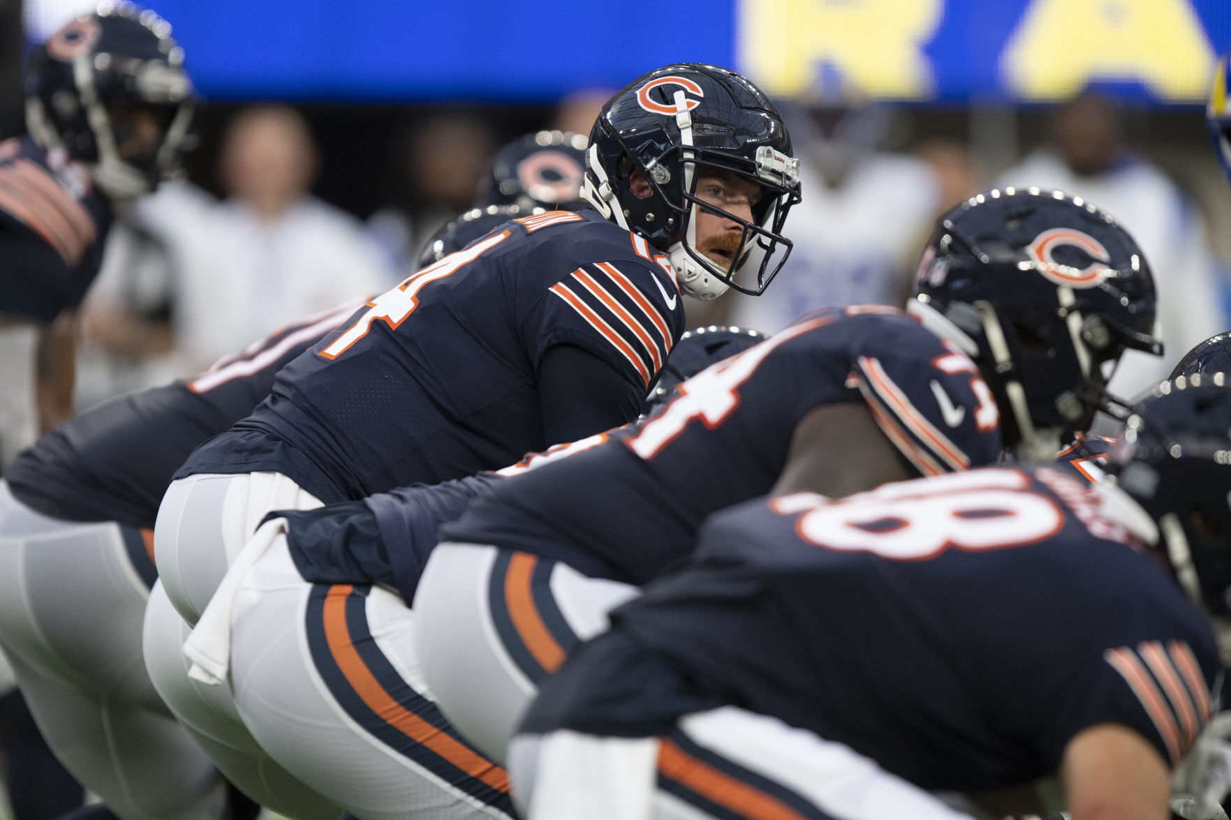 Bears Rams Football